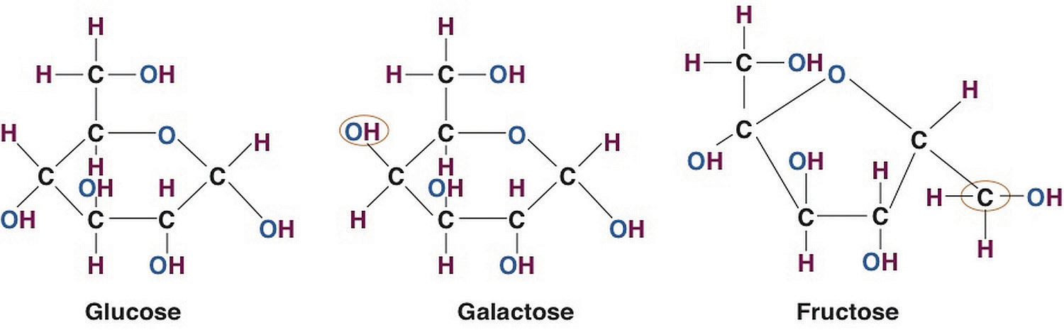 Глюкоза и галактоза. Glucose structure. Glucose galactose. Molecular structure of glucose.