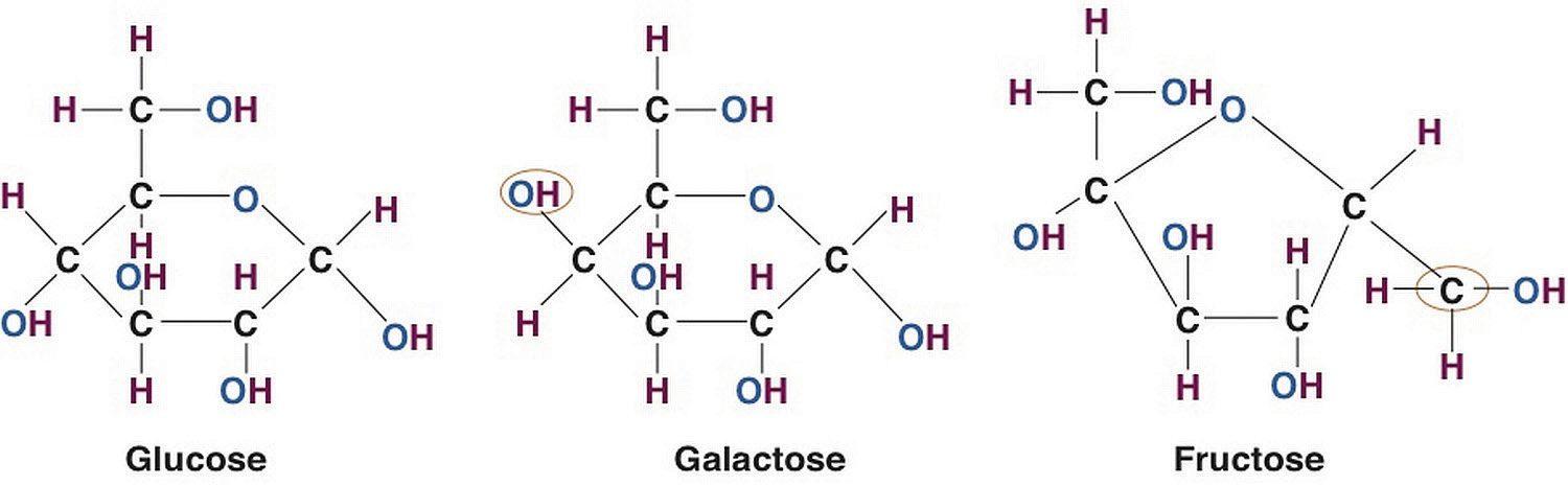 Глюкоза - галактоза