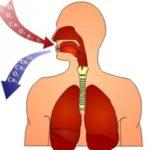 Нормализация работы дыхательной системы