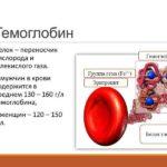 Взаимодействия с белковыми компонентами крови